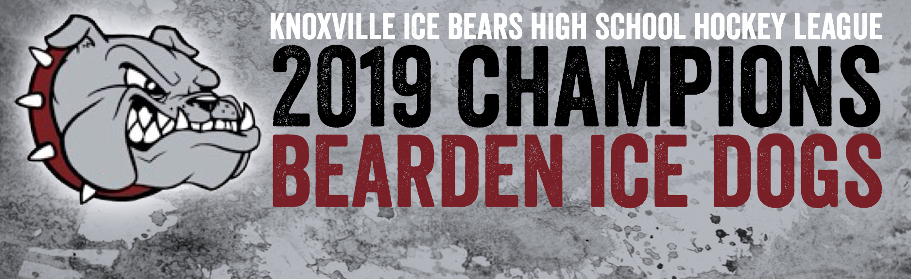 Knoxville Ice Bears Home